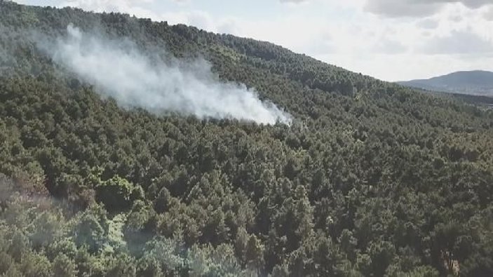Aydos Ormanı'nda yangın çıktı