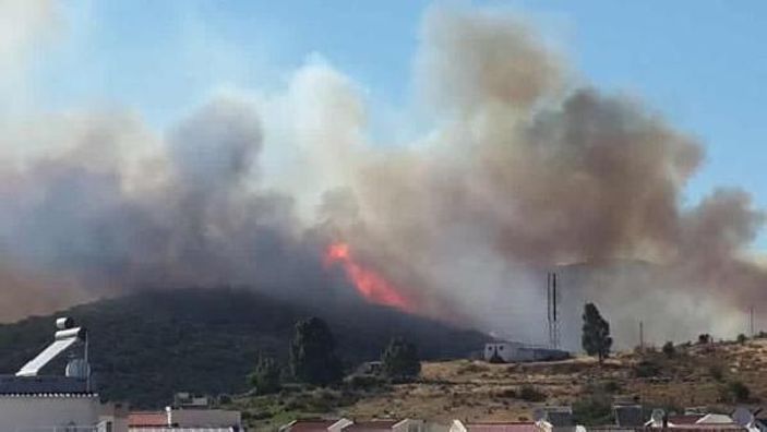 İzmir'de orman yangını