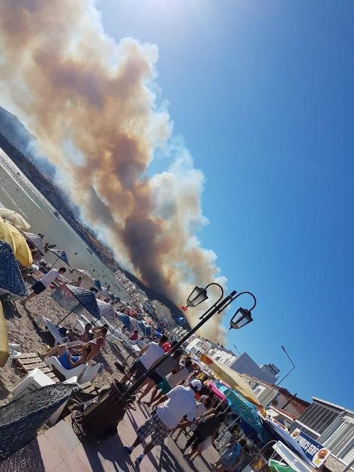 İzmir'de orman yangını