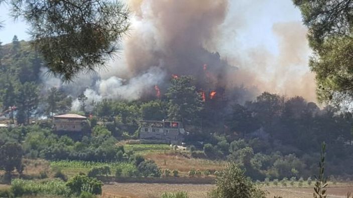 Manavgat’ta orman yangını