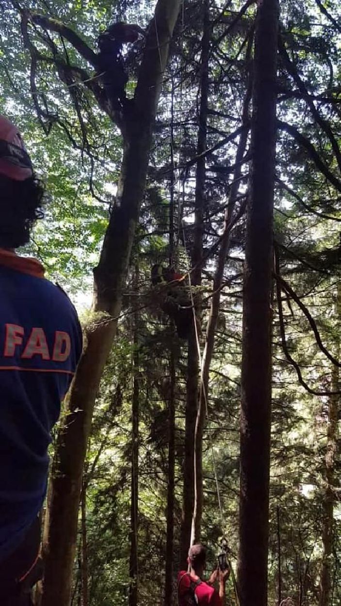 Ağaçta mahsur kalan paraşütçüyü AFAD kurtardı