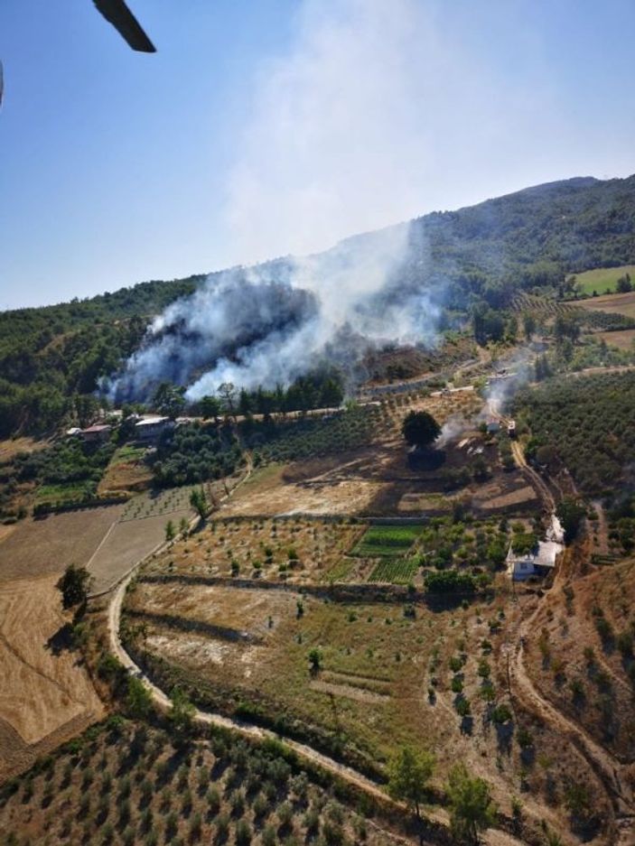 Manavgat’ta orman yangını