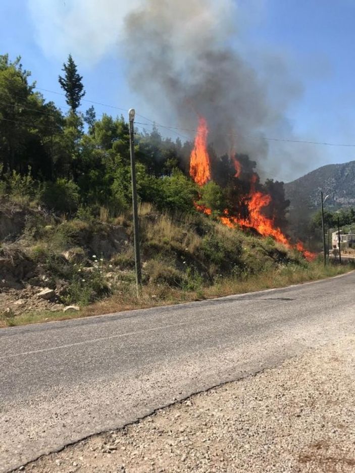 Manavgat’ta orman yangını