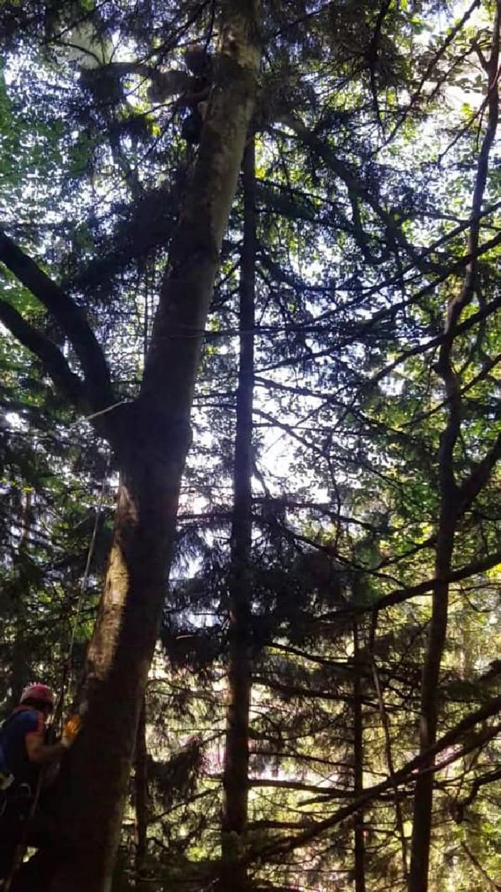 Ağaçta mahsur kalan paraşütçüyü AFAD kurtardı