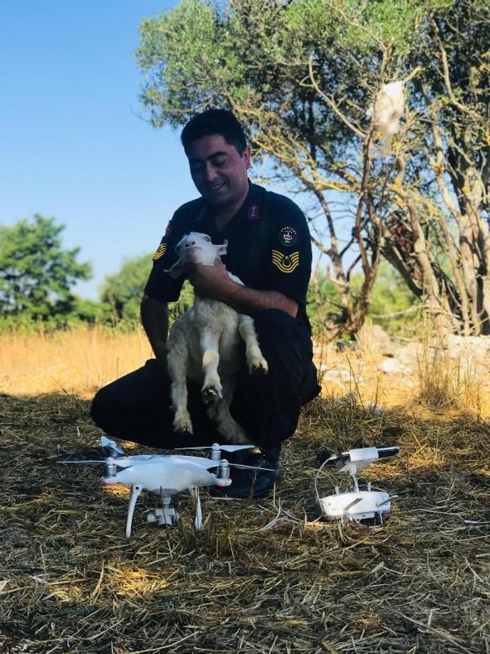 Kaybolan 72 küçükbaş drone yardımıyla bulundu