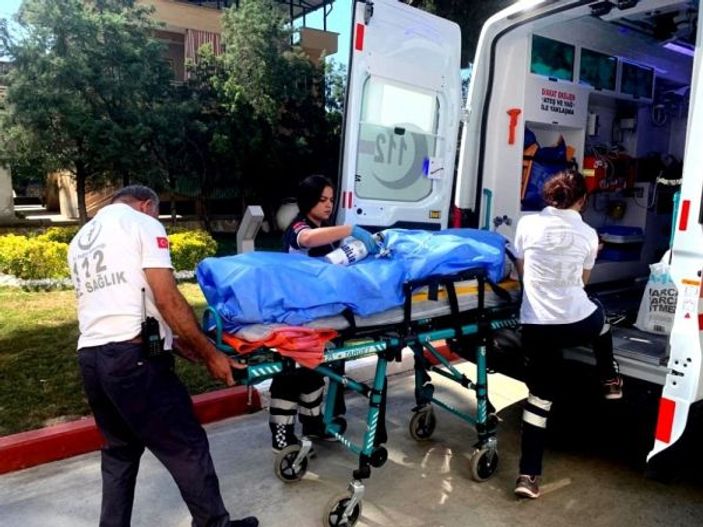 Sarıgöl’de arı sokma vakaları: 1 ölü, 1 yaralı