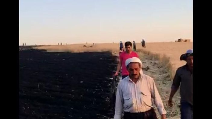 Siverek'te anız yangını: 400 dönüm kül oldu