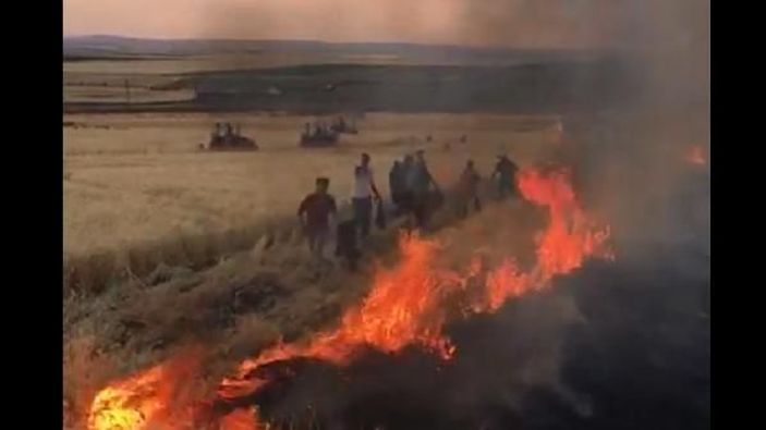 Siverek'te anız yangını: 400 dönüm kül oldu