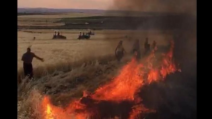 Siverek'te anız yangını: 400 dönüm kül oldu