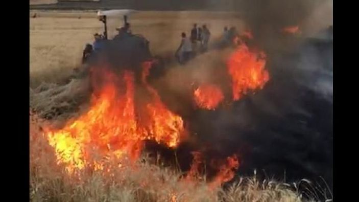 Siverek'te anız yangını: 400 dönüm kül oldu