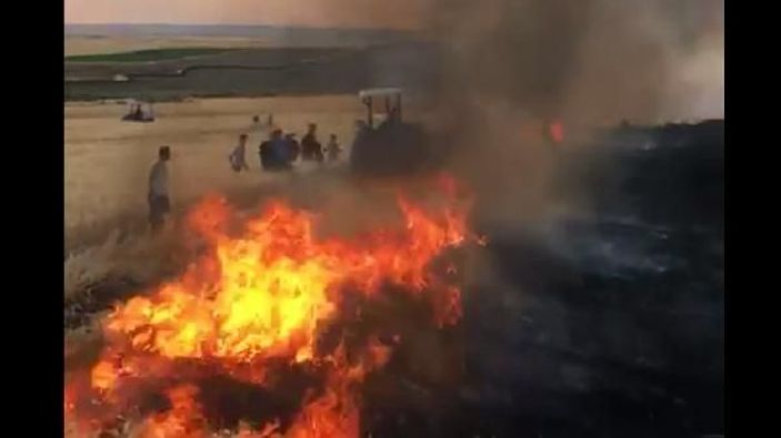 Siverek'te anız yangını: 400 dönüm kül oldu