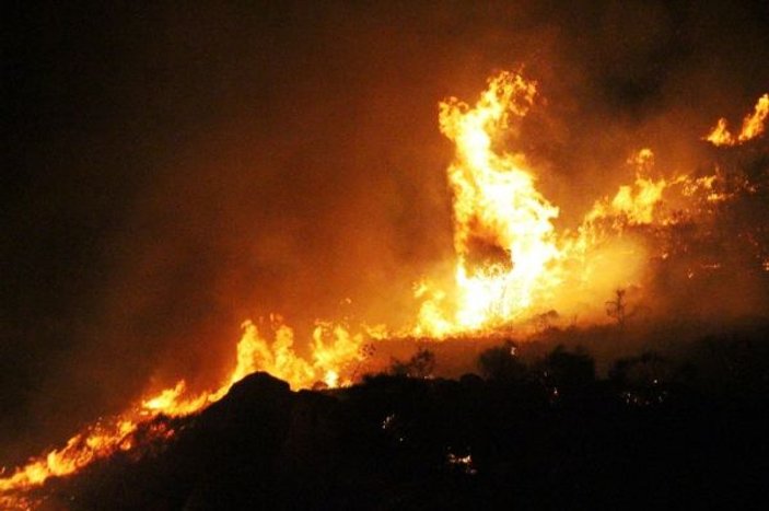 Muğla'da bu sefer Bodrum'da yangın çıktı