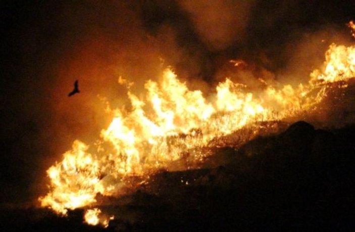 Muğla'da bu sefer Bodrum'da yangın çıktı