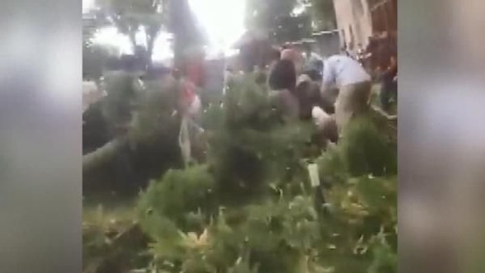 Azerbaycan’da ağaç devrildi: 19 yaralı