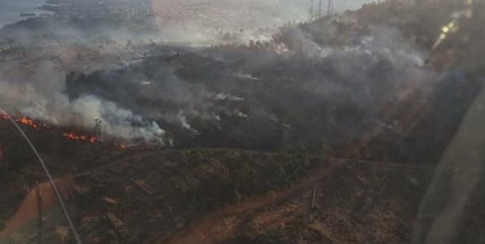 İzmir'de ağaçlandırılan erozyon sahasında yangın
