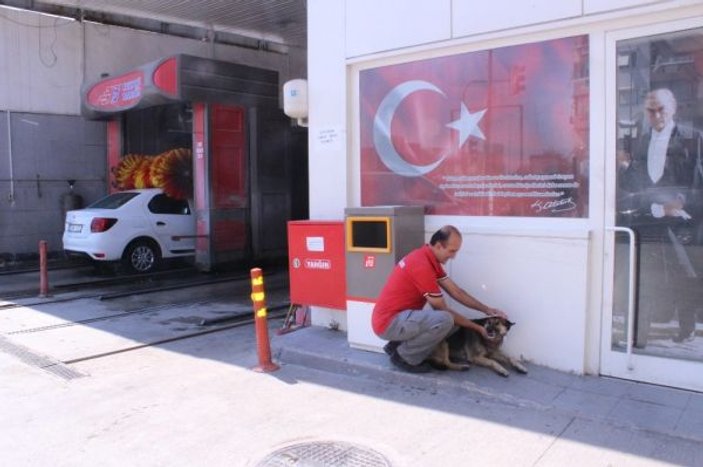İzmir'de köpeğin duş mesaisi