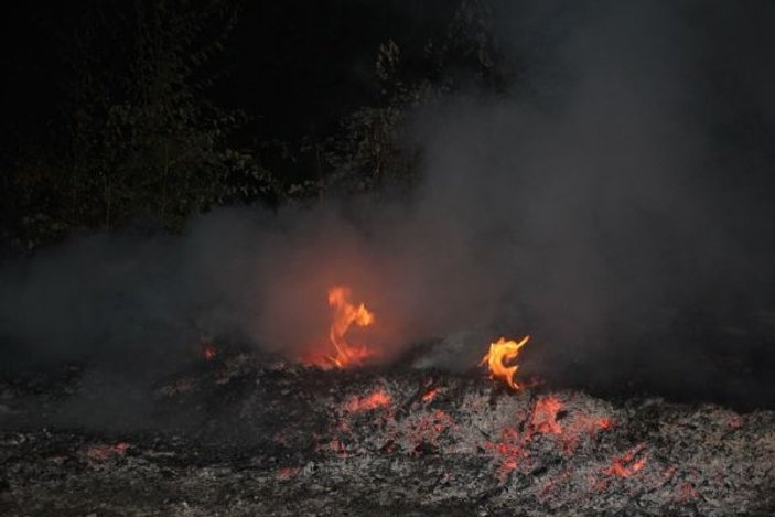 Kastamonu'da orman yangını büyümeden söndürüldü