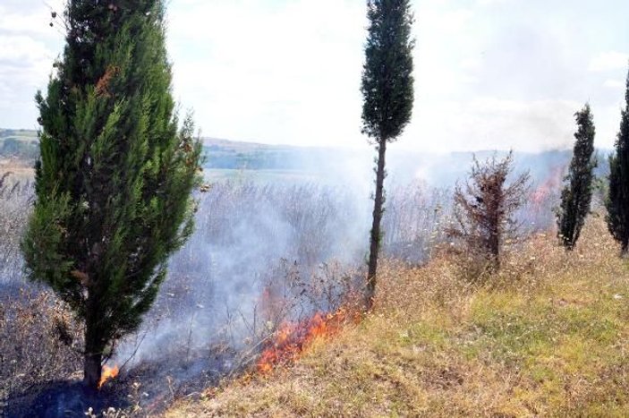 Tekirdağ'da yangında 50 dönüm ormanlık alan zarar gördü