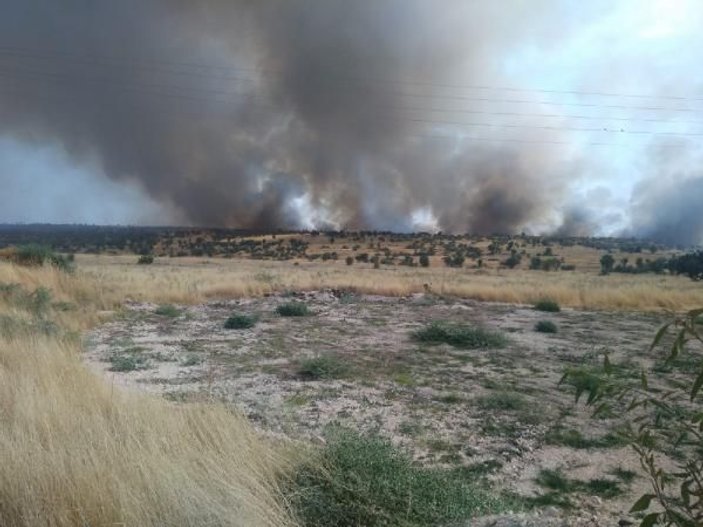 Mardin'de Süryanilerin yaşadığı köylerde yangın