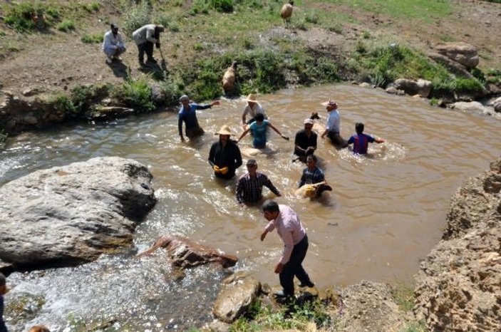 Hakkari'de koyunların yıkandığı gölette yüzme keyfi