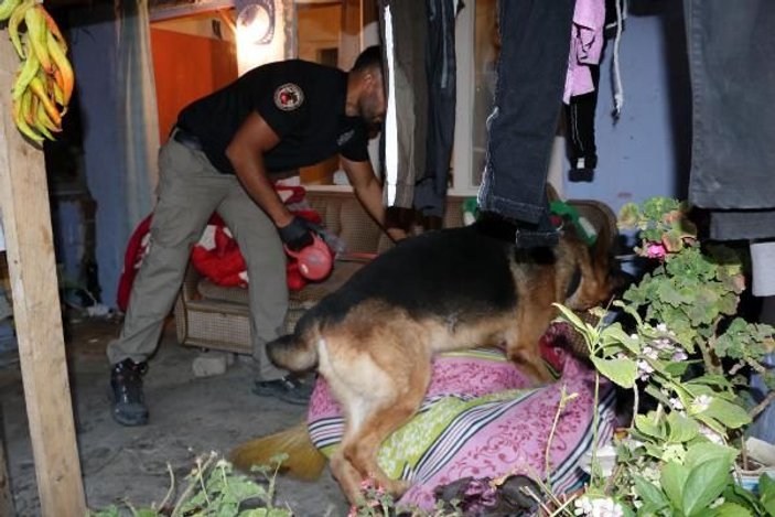 Edirne'de uyuşturucu operasyonu: 9 tutuklama