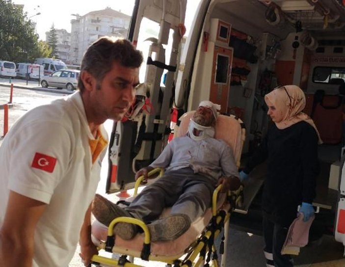 Bursa'da şeftali ağacından düşen yaşlı adam yaralandı