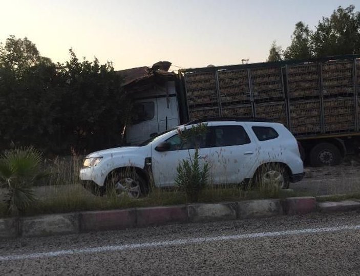 Adana'da tavuk yüklü tır eve girdi: 2 yaralı