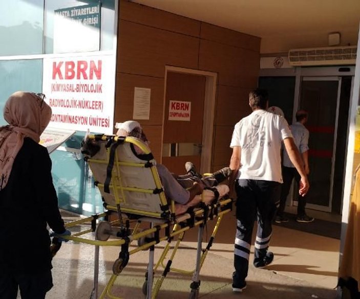 Bursa'da şeftali ağacından düşen yaşlı adam yaralandı