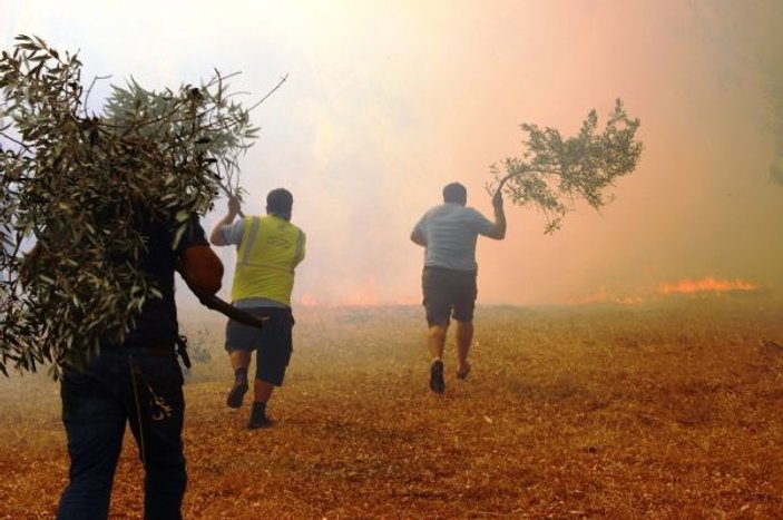 Bodrum'daki orman yangını tehlikeli boyuta ulaştı
