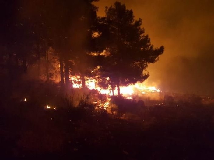 Antalya'da 35 hektarlık orman yandı