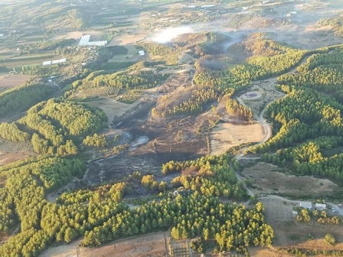Antalya'da 35 hektarlık orman yandı
