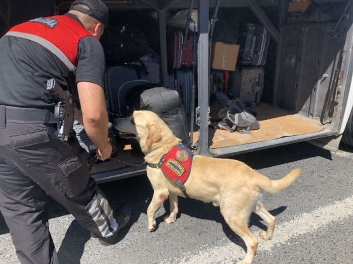 Kurban Bayramı öncesinde Çamlıca'da sıkı denetim