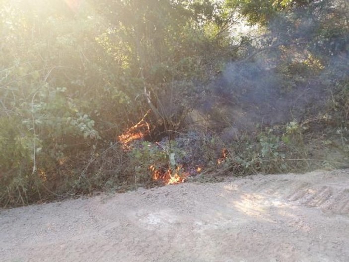 Biga'da orman yangını çıktı