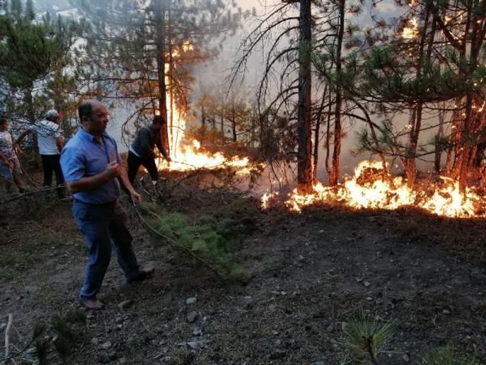 Eskişehir’de orman yangını söndürüldü