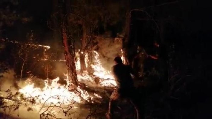 Eskişehir’de orman yangını söndürüldü