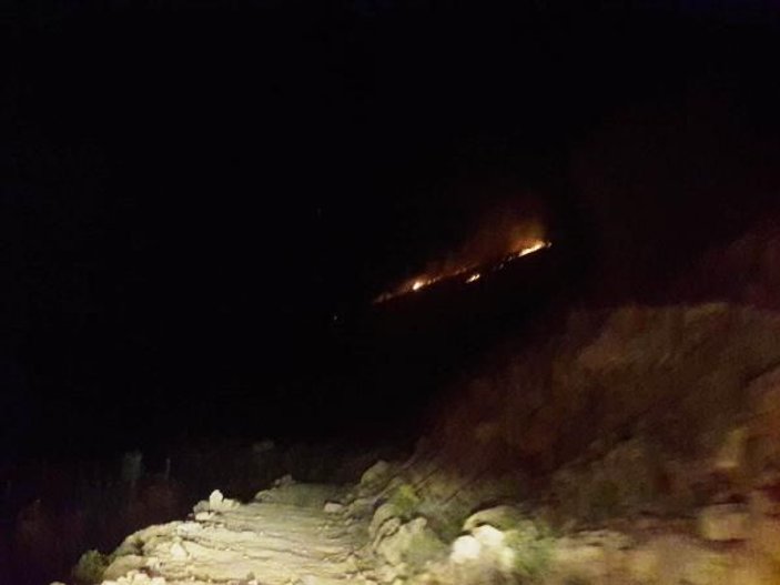 Beydağı'nda çıkan yangın, 5 hektarlık alanı küle çevirdi