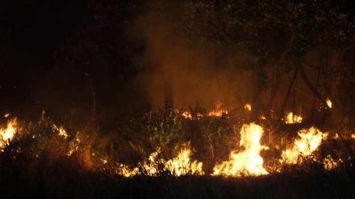 Burhaniye’de ot yangını mandalina bahçesini kül etti