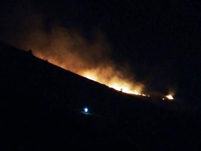 Beydağı'nda çıkan yangın, 5 hektarlık alanı küle çevirdi