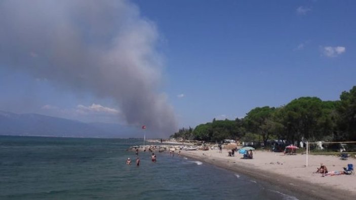 Balıkesir Edremit sahili alev alev yanıyor