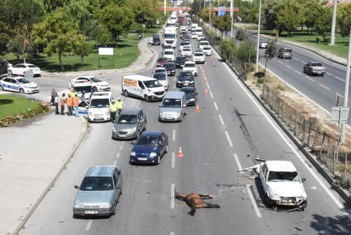 Eskişehir'de otomobilin çarptığı atlar telef oldu