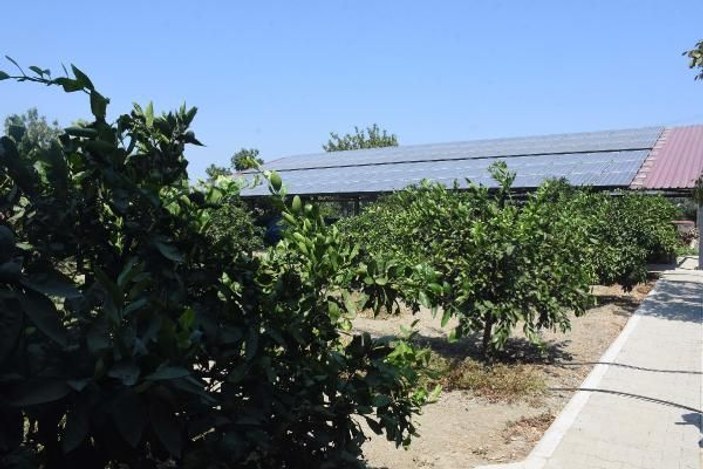 Çiftliğine güneş enerjisi sistemi kurdu, borçlu çıktı
