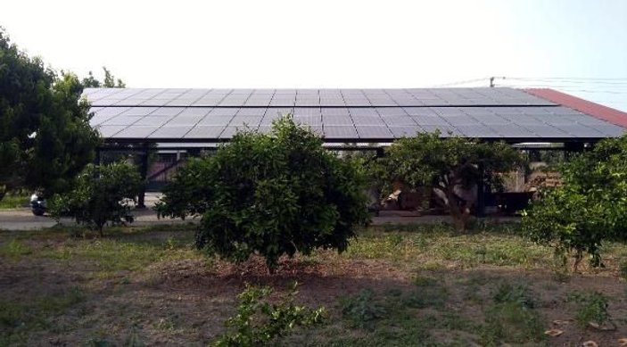 Çiftliğine güneş enerjisi sistemi kurdu, borçlu çıktı