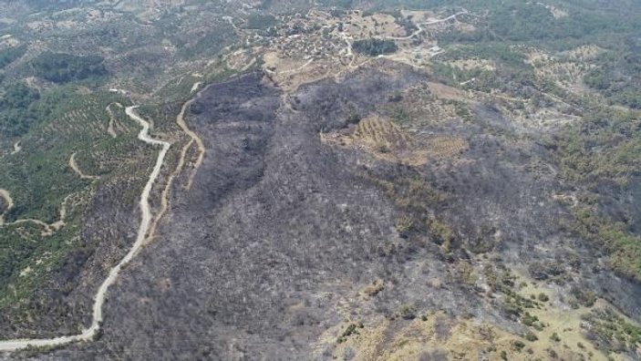 İzmir'de belediyeye göre 5 bin hektar alan kül oldu
