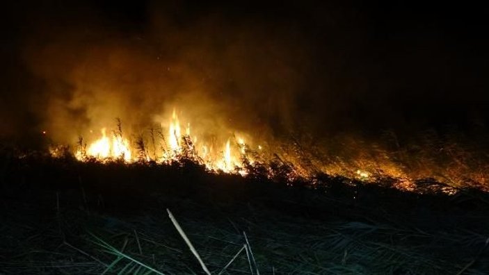 Edremit'te sazlık alanda yangın