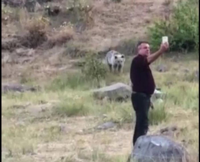 Bitlis'te acıkan ayıları kendi elleriyle beslediler