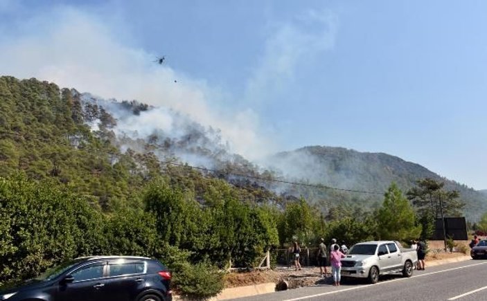 Marmaris'te 5 hektar kızılçam ormanı yandı