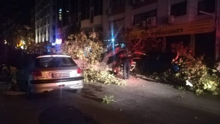 İzmir’de 3 otomobilin üzerine ağaç devrildi