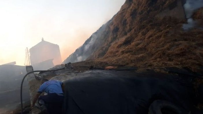 Gaziantep'te 100 bin hayvanın bulunduğu çiftlikte yangın