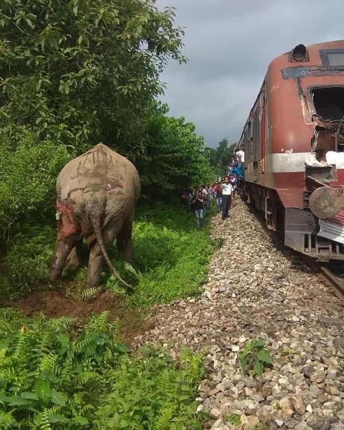Hindistan’da tren file çarptı