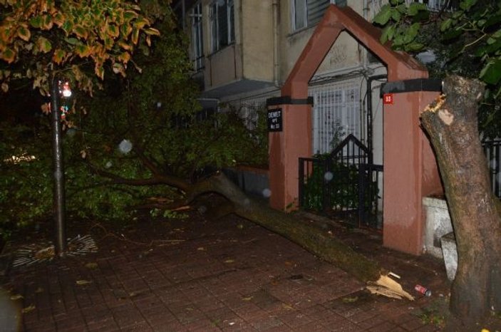 İstanbul’da fırtına ağaçları devirdi, çatıları uçurdu